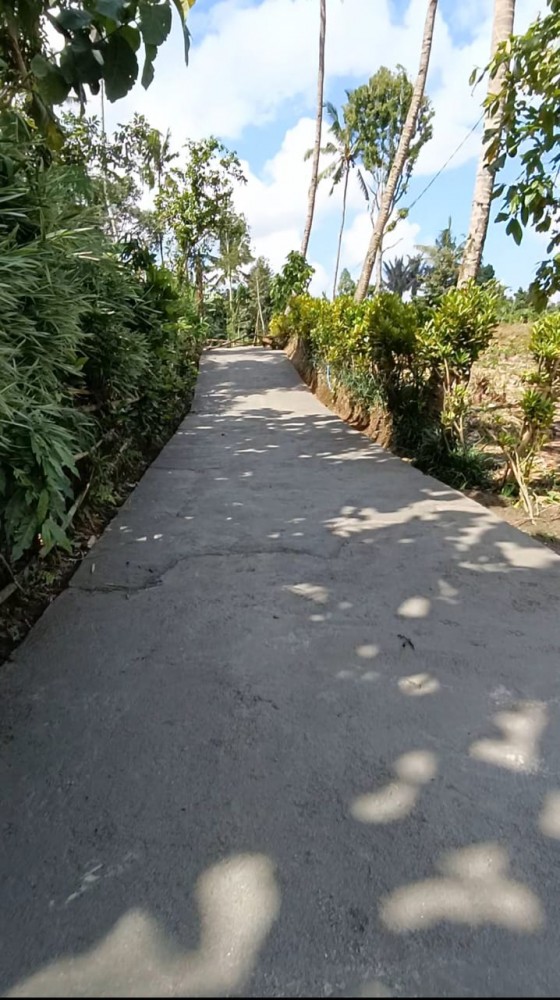 RABAT JALAN DUSUN KUANG MAYUNG DESA SURANADI T.A 2024