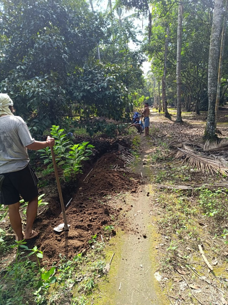 PENGEMBANGAN PERPIPAAN AIR BERSIH DUSUN PEMUNUT DESA SURANADI T. A 2024