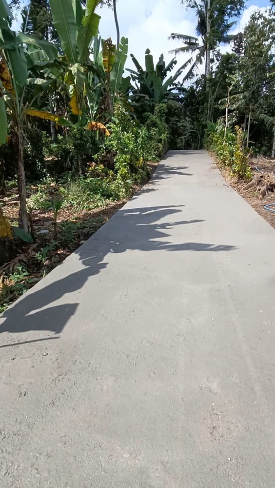 RABAT JALAN DUSUN KUANG MAYUNG DESA SURANADI T.A 2024